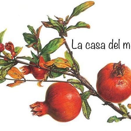 شقة ألبا  في La Casa Del Melograno المظهر الخارجي الصورة