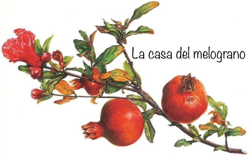 شقة ألبا  في La Casa Del Melograno المظهر الخارجي الصورة